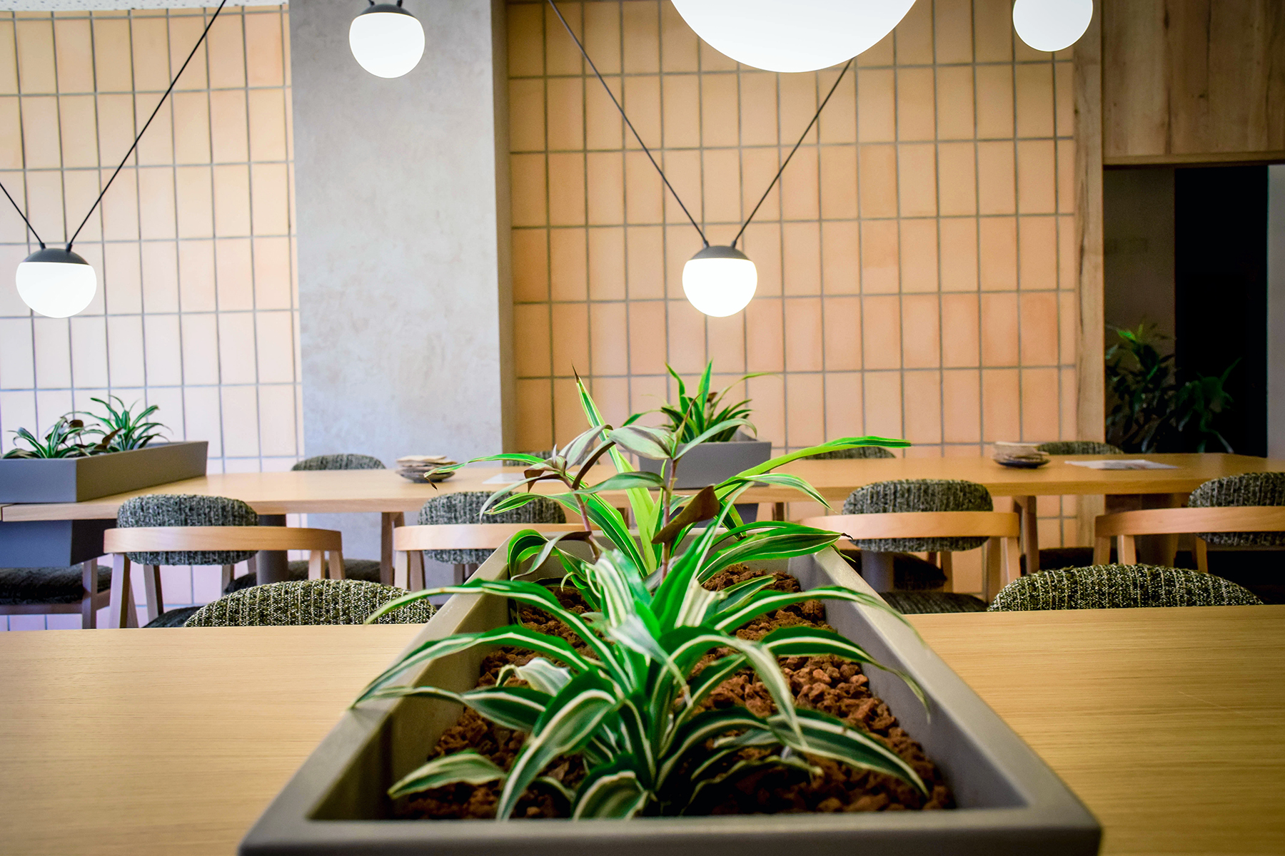 019_alta_playacanela La Grappa.jpg